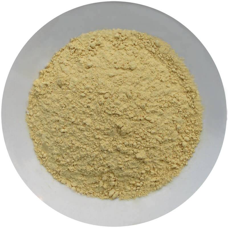 Factory wholesale Organic Freeze Dried Vegetables Bulk - Dehydrated Ginger Powder – Ruisheng