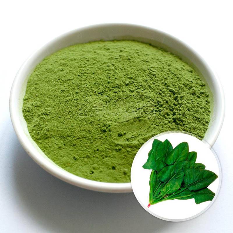 Competitive Price for Dehydration Of Green Leafy Vegetables - Dehydrated Spinach Powder – Ruisheng