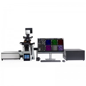BCF297 laserskaneeriv konfokaalne mikroskoopia