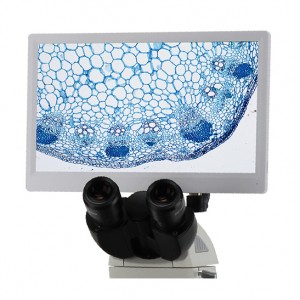 OEM Supply Camera With Microscope – BLC-250A LCD Digital Microscope Camera – BestScope