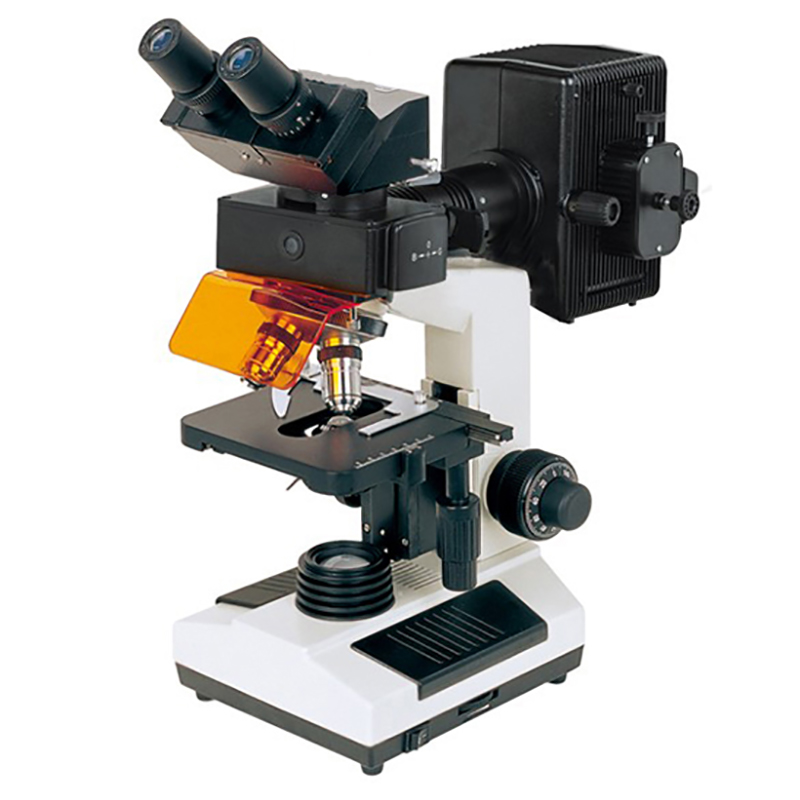 Wholesale Price China Contrast Microscope - BS-2030F Fluorescent Biological Microscope – BestScope