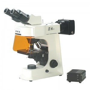 BS-2036FT(LED) fluorescerande trinokulärt biologiskt mikroskop