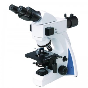 Chinese wholesale 400x Microscope - BS-2040F(LED, TB) Fluorescent Biological Microscope – BestScope