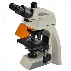 BS-2073FT (LED) miocroscop trinocular flùraiseach LED