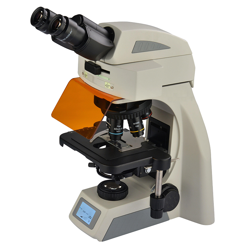 BS-2074FB(LED) LED Fluorescence Binocular Microscope