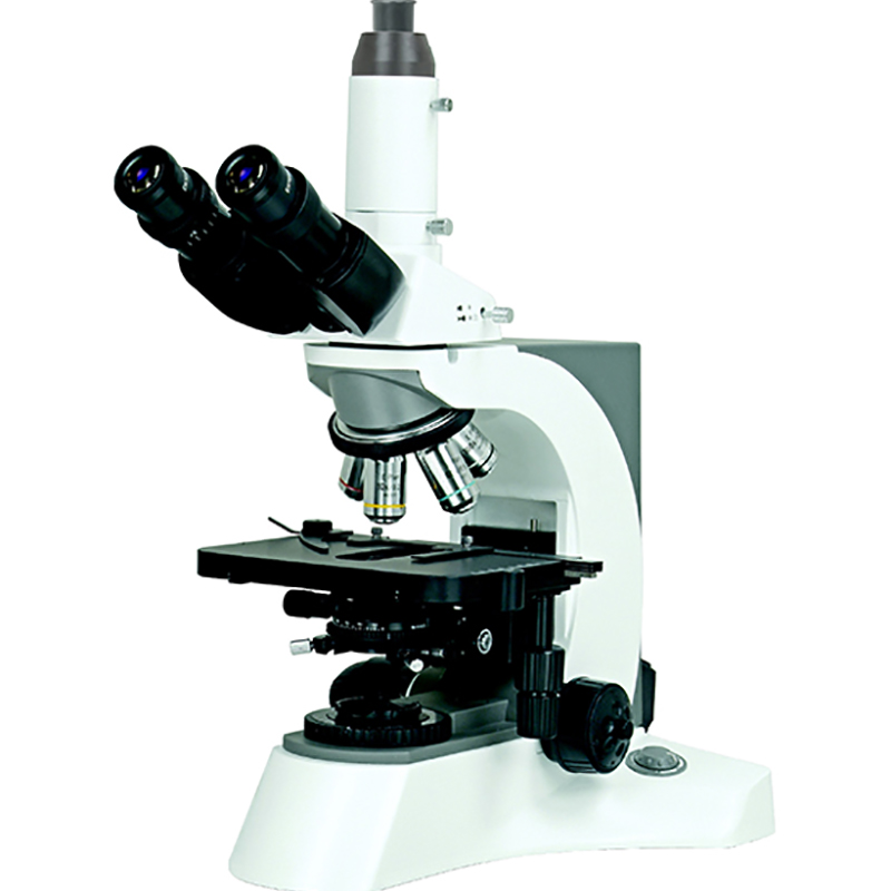 High Quality The Compound Microscope - BS-2080 Laboratory Biological Microscope – BestScope