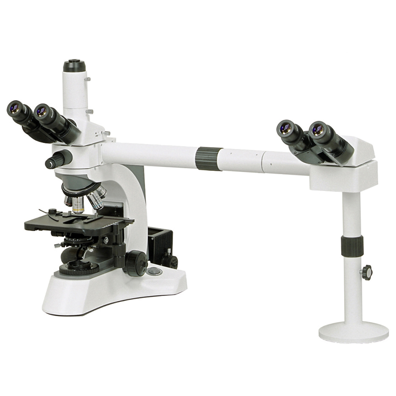 Mitmepealine mikroskoop BS-2080MH4