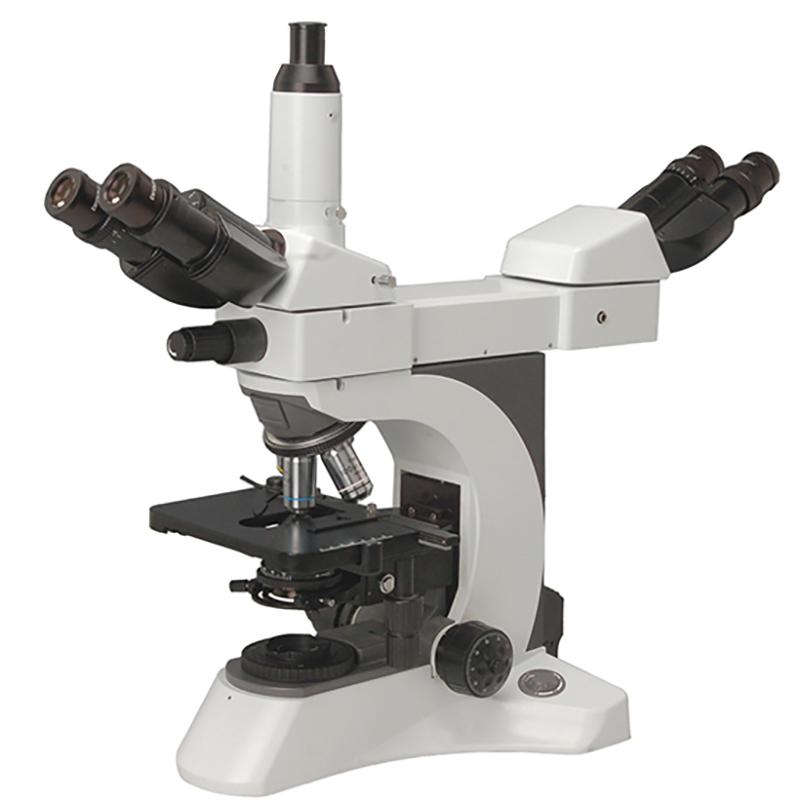 Mitmepealine mikroskoop BS-2080MH4A
