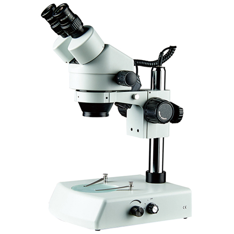 BS-3025B2 Zoom Stereo Microscope
