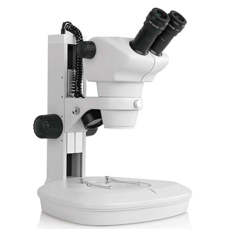 BS-3035B3 Microscopio stereo con zoom binoculare