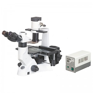 Factory Cheap Hot Microscope Lab - BS-7000B Inverted Fluorescent Biological Microscope – BestScope