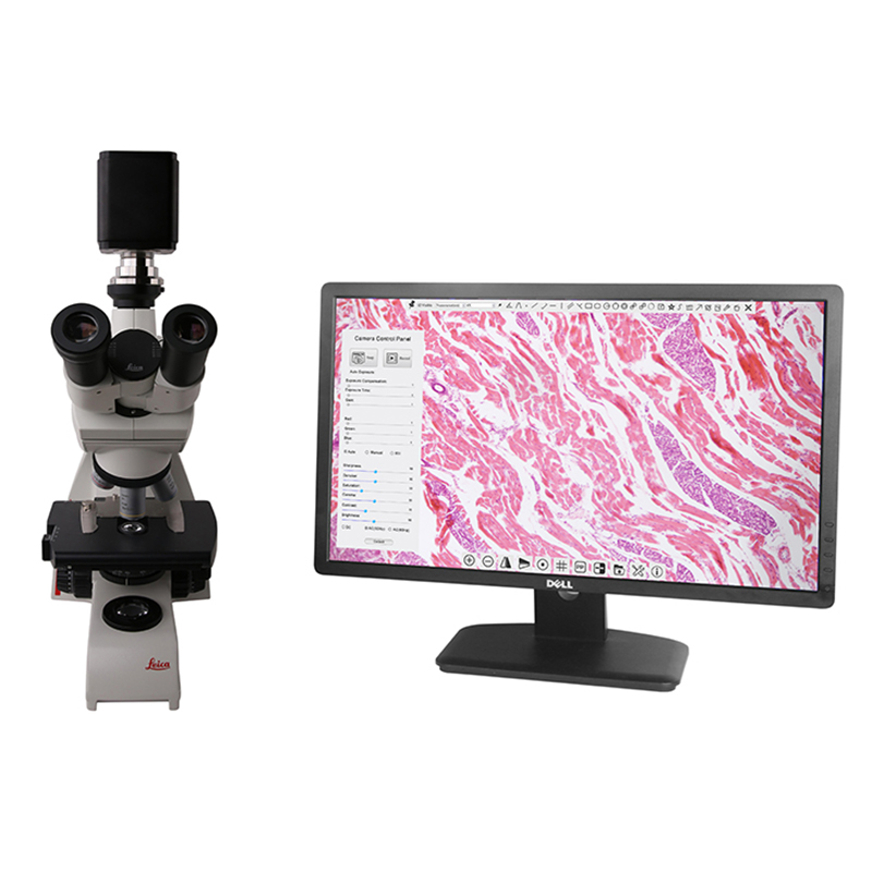 BWHC-4k Microscope+Display