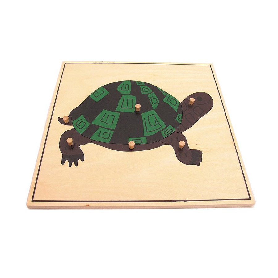 Best quality Practical Toys - Montessori Biology Wood Turtle Puzzle – Bst