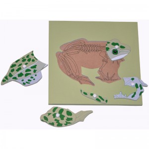 Children Wooden Montessori Animal Peg Jigsaw Puzzle Toy Frog