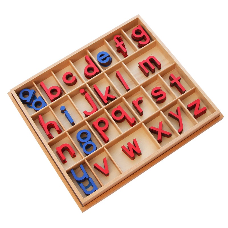 Chinese wholesale Montessori Teaching Aids - Small Movable Alphabet (Red & Blue)-Wood – Bst