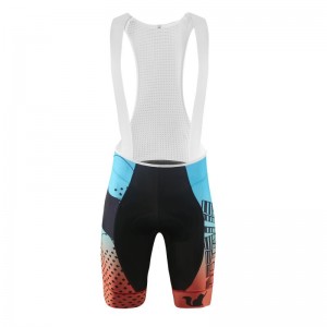 2022 China New Design Best Cycling Trousers - Men’s Picasso’s Cat Custom Cycling Bib Shorts – Betrue