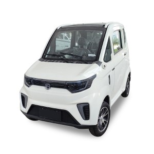 EEC L6e Electric Car-X9