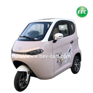 EEC L2e Electric Tricycle-J3