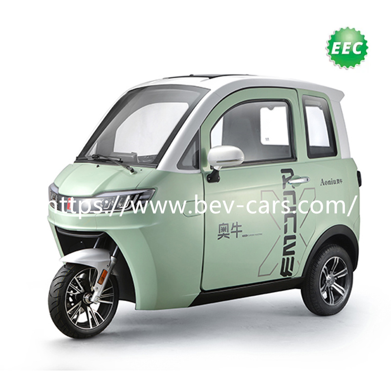 EEC L2E Electric Tricycle Q1