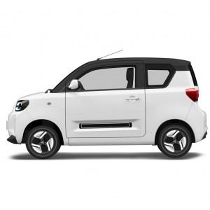 China OEM EEC Certificate New Energy Electric Mini Car 2 Doors Electric Vehicles Mini Car From China