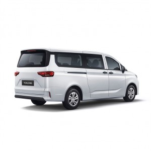 China wholesale Electric N1 MPV for Cargo