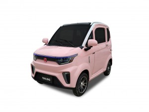 EEC L6e Electric Car-X9