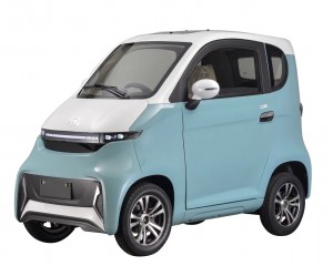 EEC L6e Electric ụgbọ ala-J4