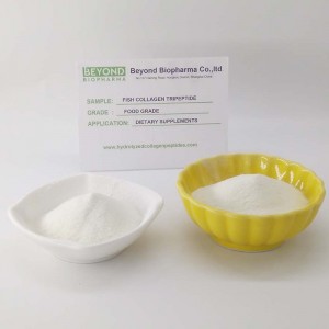 Fish Collagen Tripeptide CTP with High Bioavailability
