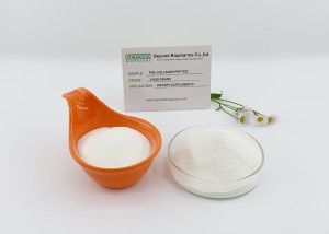 Cosmetic Grade Fish Collagen Derived from Cod Skin