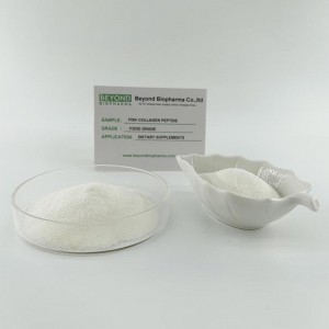 Fish Collagen peptide with Low Molecular weight