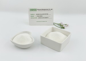 Premium Quality Hydrolyzed Bovine Collagen Powder
