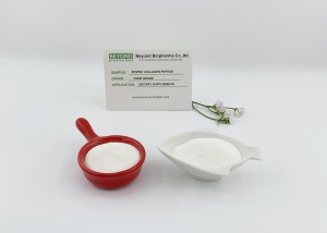 Premium Quality Hydrolyzed Bovine Collagen Powder