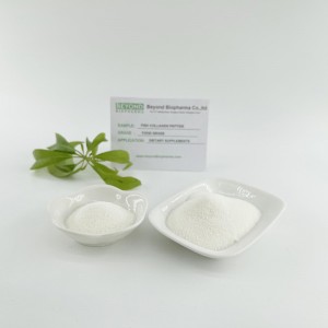 Hydrolyzed Type 1 & 3 Collagen Powder from Fish Skin