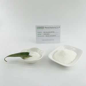 Hydrolyzed Type 1 & 3 Collagen Powder from Fish Skin