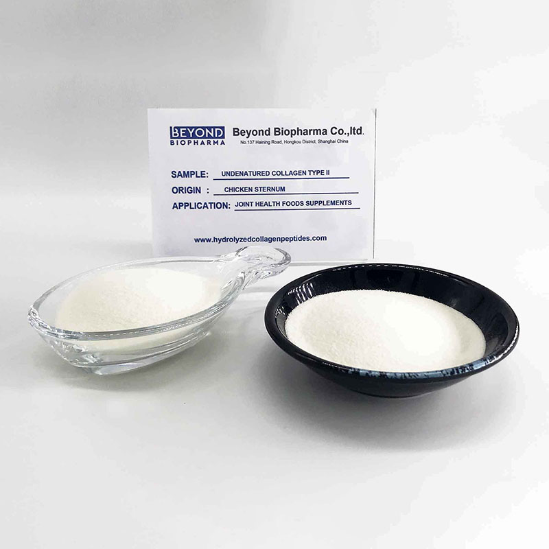 China Manufacturer For ‘Best Chicken Collagen Supplement - Hydrolyzed Chicken Collagen type ii for Bone Health – BEYOND