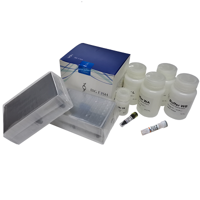 Free sample for Dna Rna Extraction - MagPure™ Blood Genomic DNA Purification Kit – Bigfish