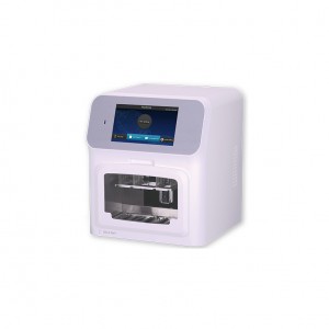 Discount wholesale Rapid Test Device Detection Of China New Corona Virus - Nucleic Acid Purification System-32 – Bigfish