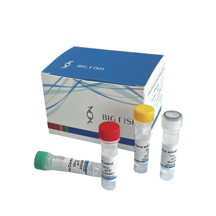 2021 wholesale price Total Rna Purification - Monkeypox Virus NucleicAcid Detection Kit (Fluorescent RT-PCR) hsif gi B uoh z g naH . dt L,. oC hcet- oi B – Bigfish