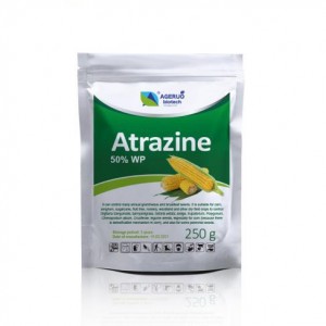 Atrazine 50% WP price used in corn field kill annual weeds
