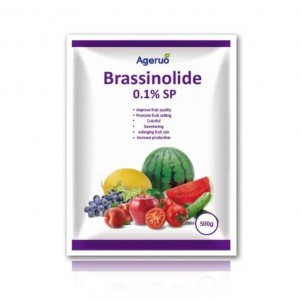 Natural Brassinolide 0.1% Sp in Fertilizer CAS 72962-43-7