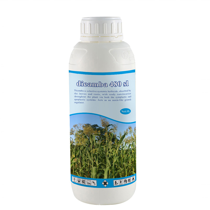 Agriculture Agrochemical Chemical Herbicide Weed Killer CAS 1918-00-9 Mediben/Dicamba 48% SL Featured Image