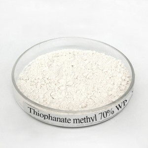 Agrochemical Fungicide Thiophanate Methyl 70% Wp
