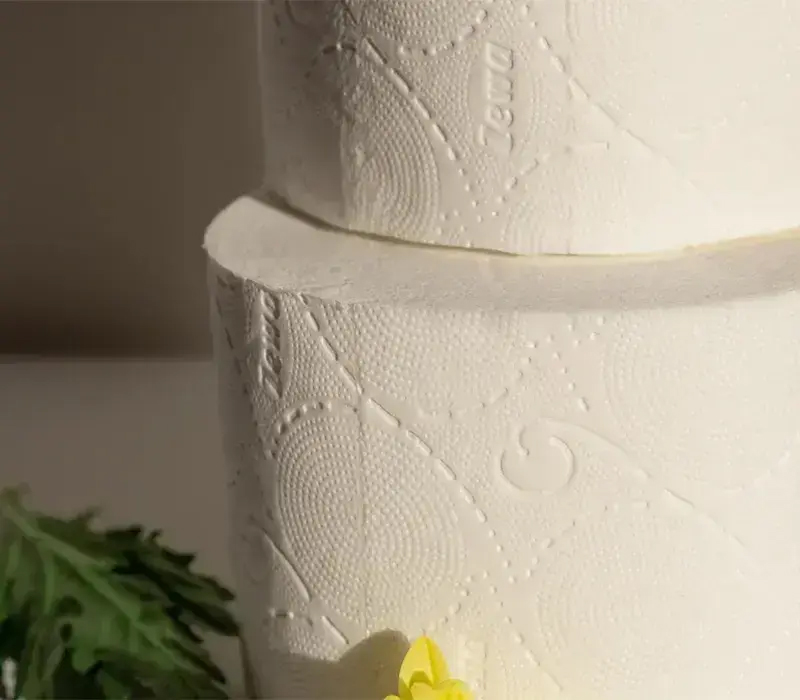 Discover 5 Facts About Handkerchief Paper Parent Roll Virgin Pocket Roll