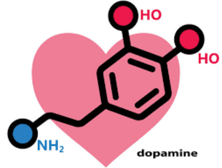 Manufacturer supplied CAS: 51-61-6，Dopamine and good price
