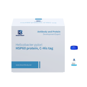 factory customized Stool Test Guaiac - Recombinant Helicobacter pylori HSP60 protein, C-His tag – Bioantibody