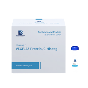 New Fashion Design for Il-5 Protein - Recombinant Human VEGF165 Protein, C-His tag – Bioantibody