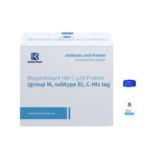 2022 wholesale price Antigen Test Result Online - Recombinant HIV-1 p24 Protein (group M, subtype B), C-His tag – Bioantibody