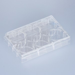 Lab Consumable Tc Treated 6-Well Polystyrene Cell Culture Plate