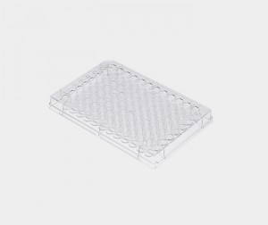 Elisa Plate (Non-Removable)