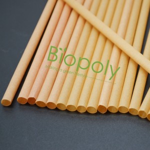 Vegetable fiber Individual wrapped sugarcane bagasse straw Compostable biodegradable Sugar cane drink straws